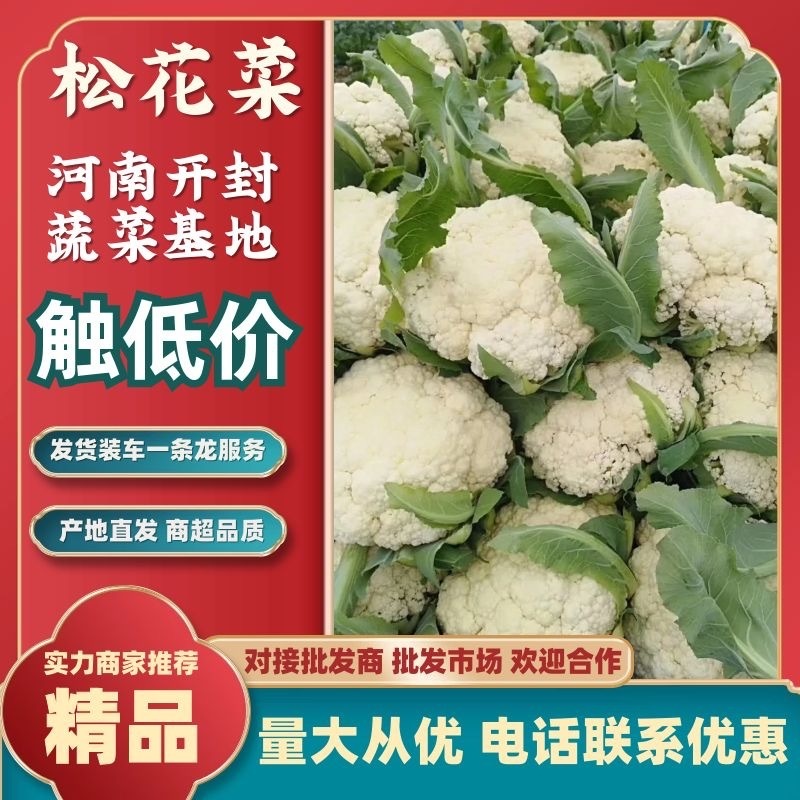 松花菜商超品质，提供物流发全国，欢迎咨