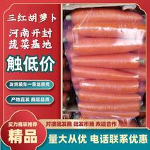 河南春季胡萝卜出口贸易商超品质，提供物流发货