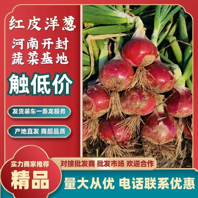 洋葱赤足绣品。降云紫皮圆葱代发全国，货源充足