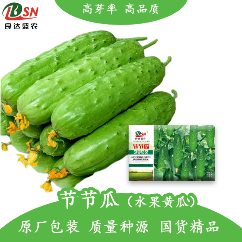 节节瓜水果黄瓜种子节节有瓜耐低温抗高温品质优良口感好