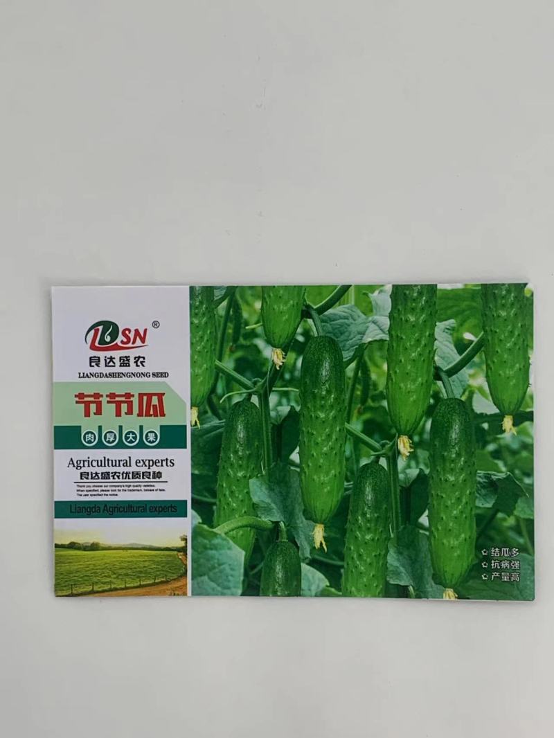 节节瓜水果黄瓜种子节节有瓜耐低温抗高温品质优良口感好