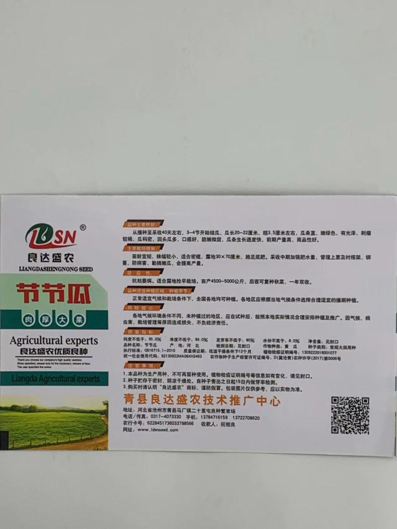 节节瓜水果黄瓜种子节节有瓜耐低温抗高温品质优良口感好