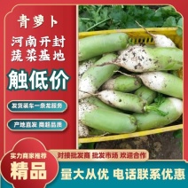 萝卜，鲜货791萝卜，万亩基地，适应多个市场