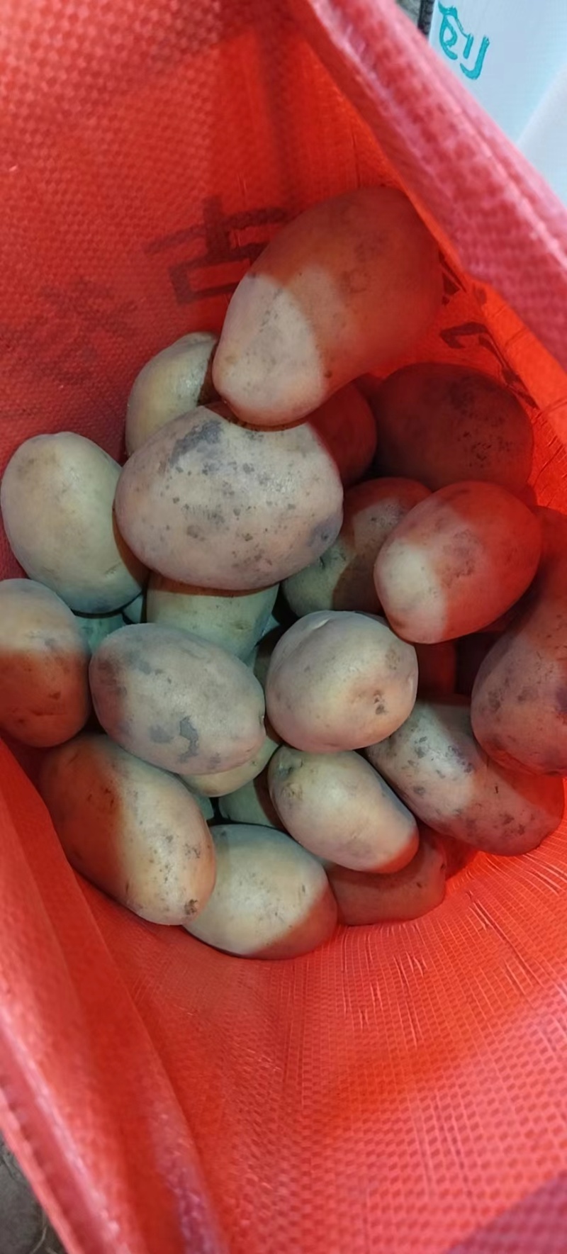 滕州黄皮黄心土豆v7土豆大量供应对接超市可视频看货