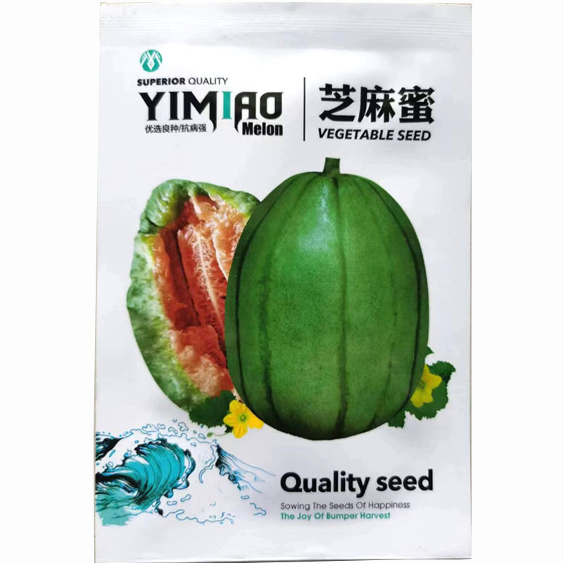 芝麻蜜甜瓜种子耐寒结果多香甜含糖量高水果种