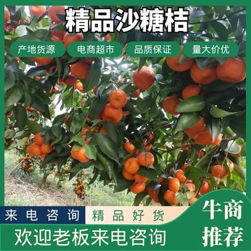 【精品】砂糖橘广西产地直销量大从优全国可发质量保证