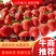 济南章丘区甜宝草莓大量有货电商。团购。代办诚信合作共赢