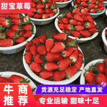 【草莓山东】山东甜宝草莓包吃住质优价廉量大从优