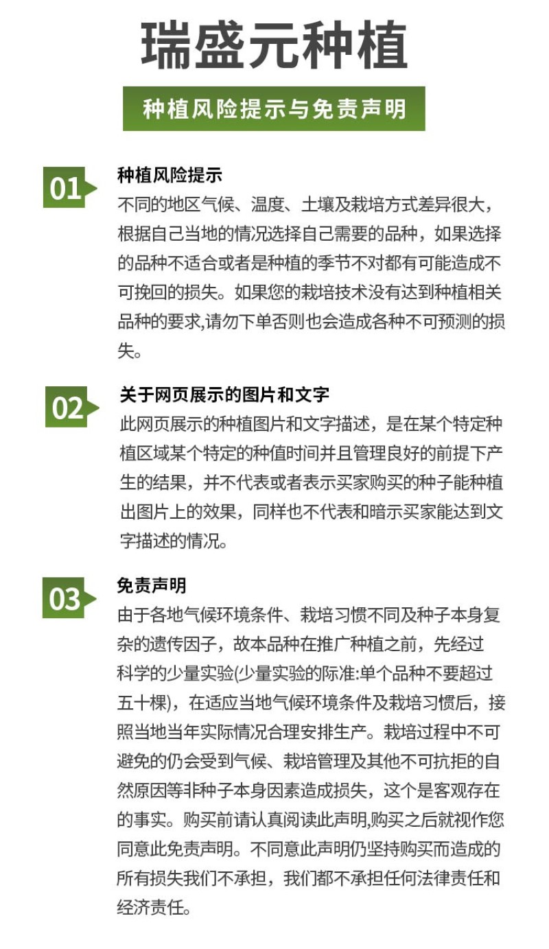 瀑布小番茄种子种籽孑生吃超甜春季秋季阳台盆栽蔬菜籽酸甜产