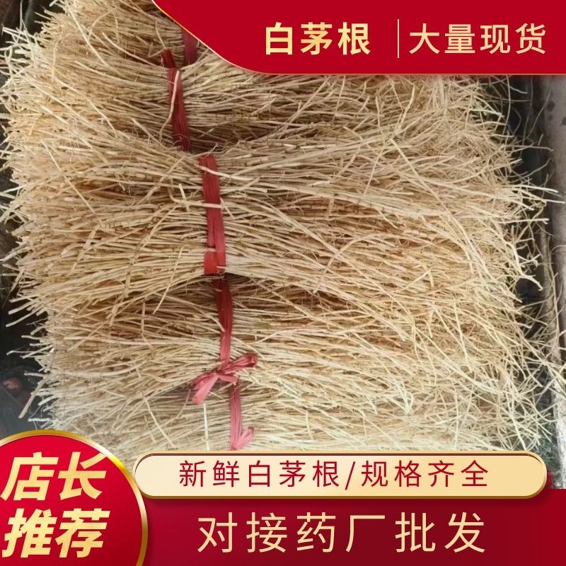 广西中药材中草药白茅根产地批发规格齐全对接药厂