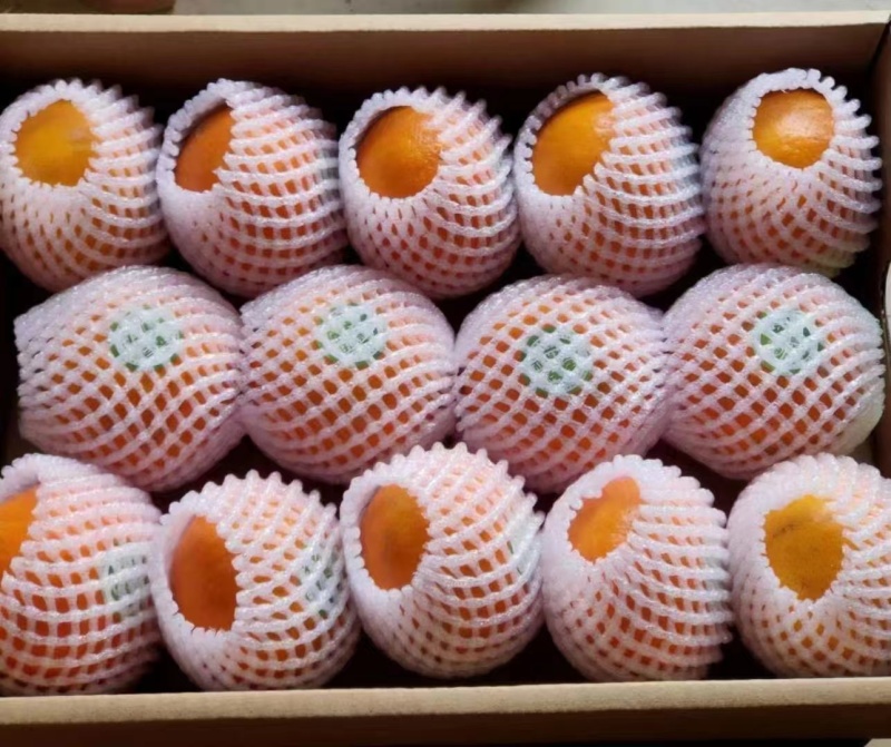 沃柑/原产地直发/一件代发/电商对接