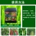 根动101含氨基酸水溶肥强力生根无激素快速生根生根剂生根