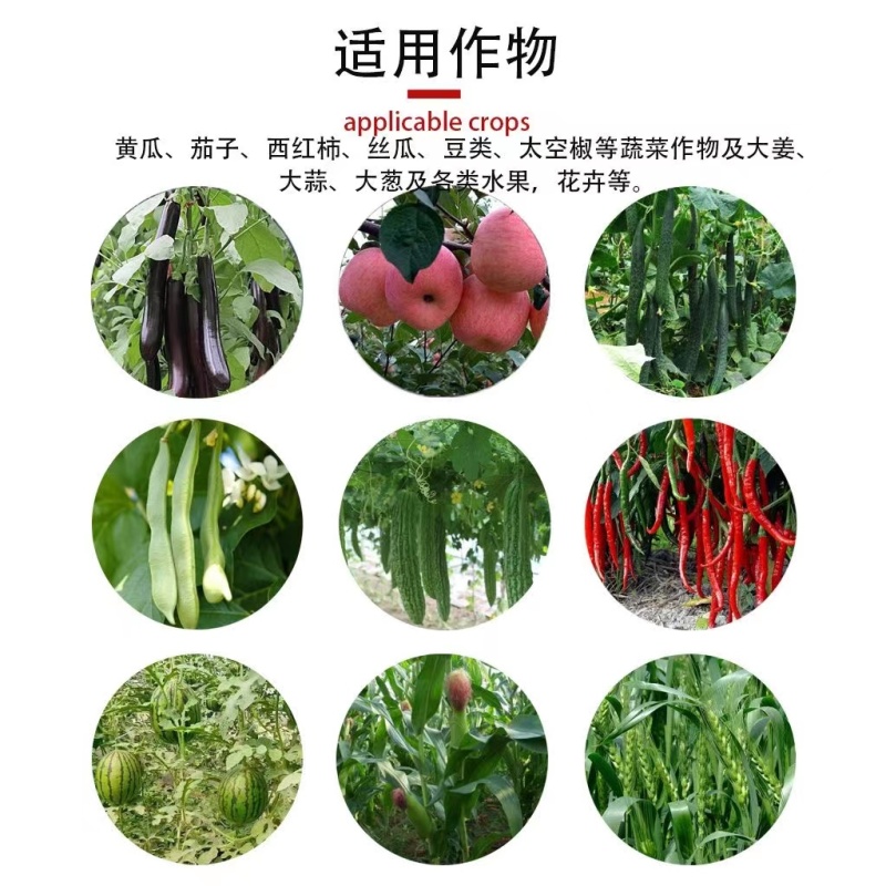 根动101含氨基酸水溶肥强力生根无激素快速生根生根剂生根