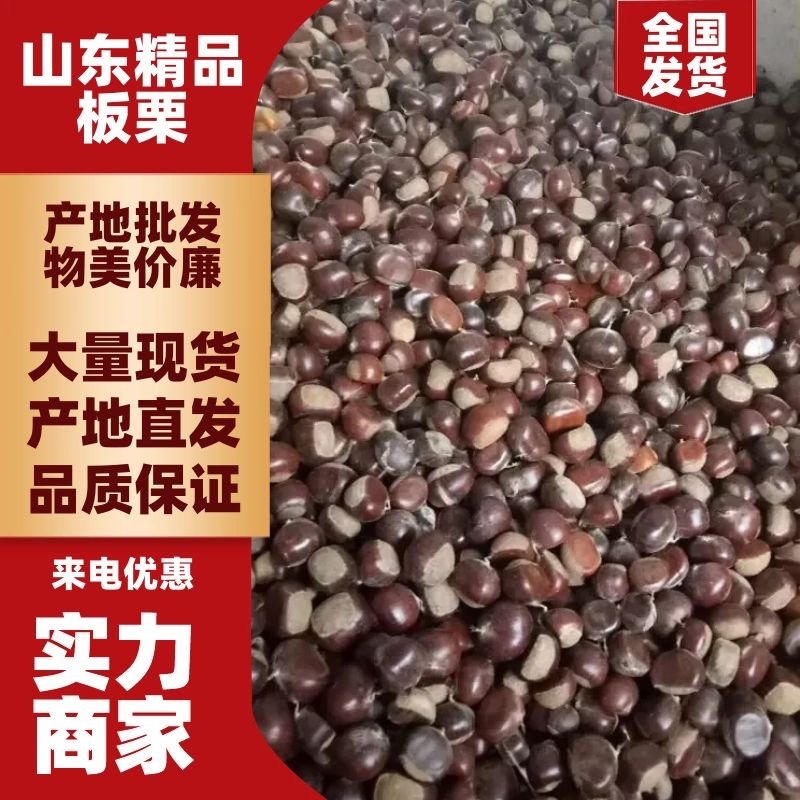 山东板栗炒栗种纯手工精选产品，量大从优，价格便宜