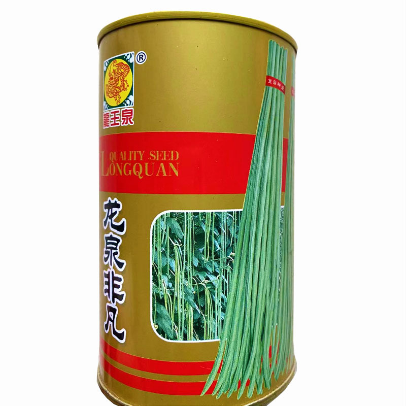 豇豆种子长豆角早春大棚耐低温纤维少不易老化龙泉非凡