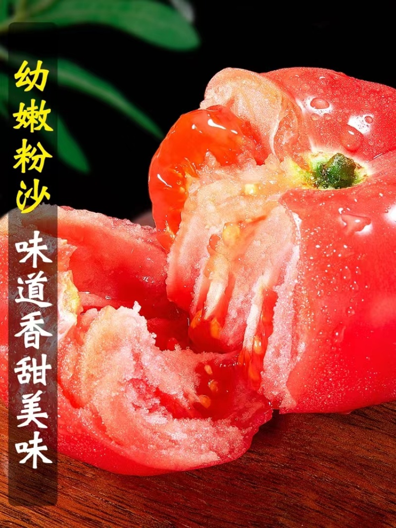 【甄选】普罗旺斯西红柿基地直发承接电商超市档口价格低