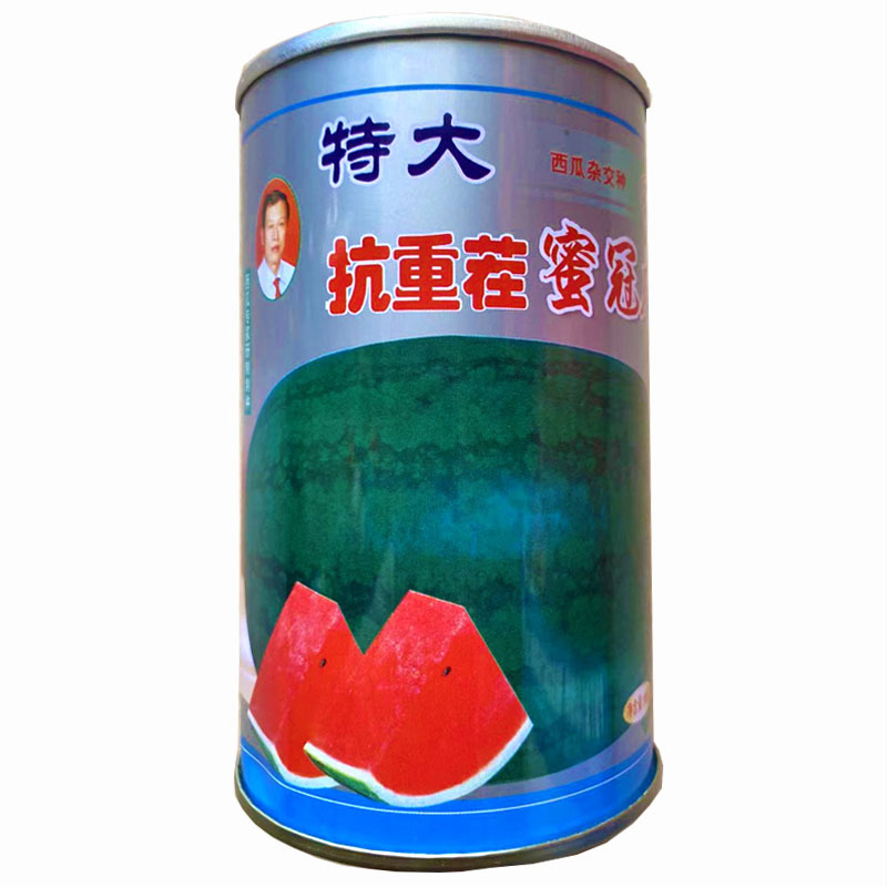 特大抗重茬蜜冠大果型瓢红耐裂糖度高雌花多易坐果