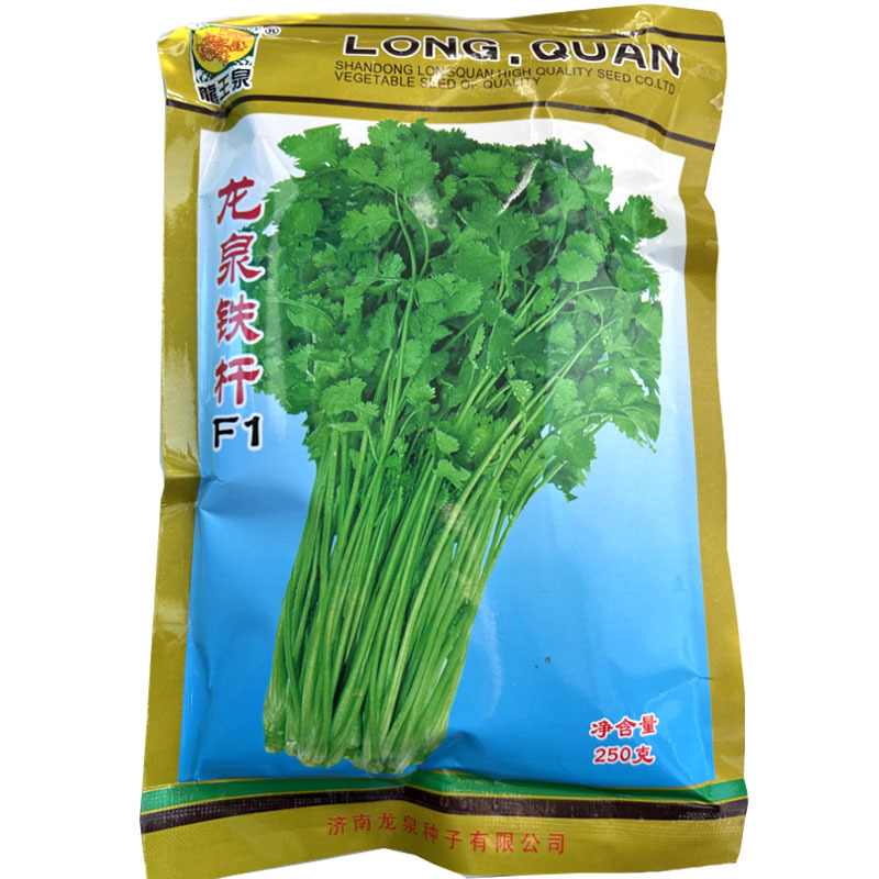 香菜种子铁杆香菜种籽耐高温耐抽苔芫荽农家大田种植