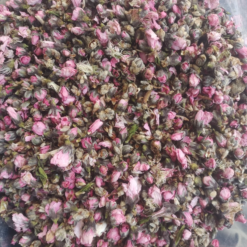 桃花桃花统货产地山东省地道药材紫轩堂药业