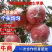 陕西膜袋红富士苹果，产地直发，味道甜美汁水充盈甜度高