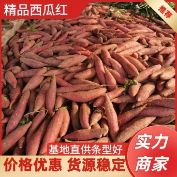 西瓜红红薯条形好口感软糯香甜，一手货源，基地直发