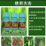 植物动力甲壳素多微量元素叶面肥生根壮苗抗病抗逆保花保果