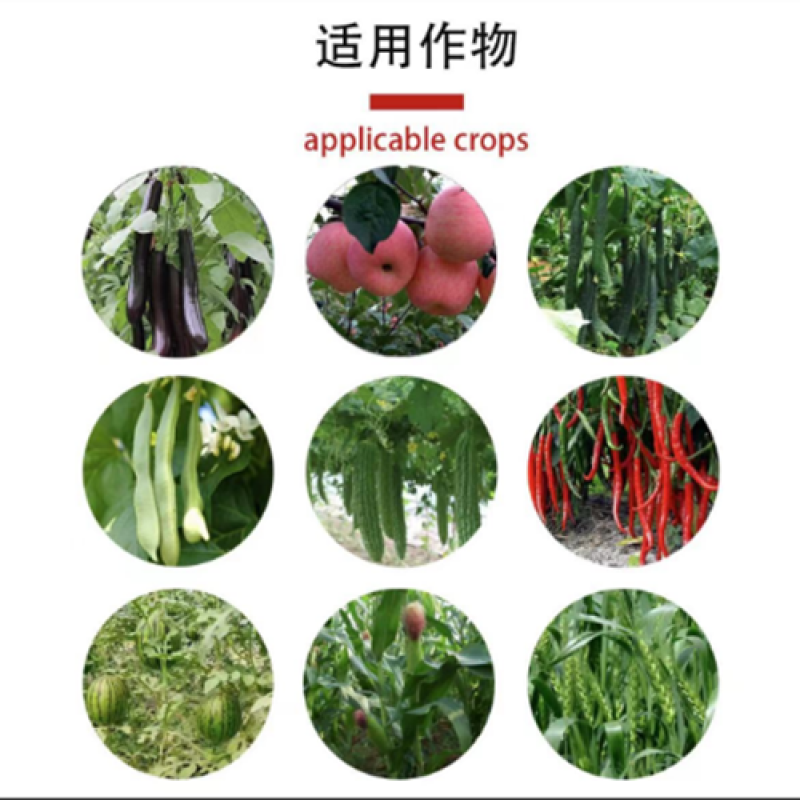 植物动力甲壳素多微量元素叶面肥生根壮苗抗病抗逆保花保果