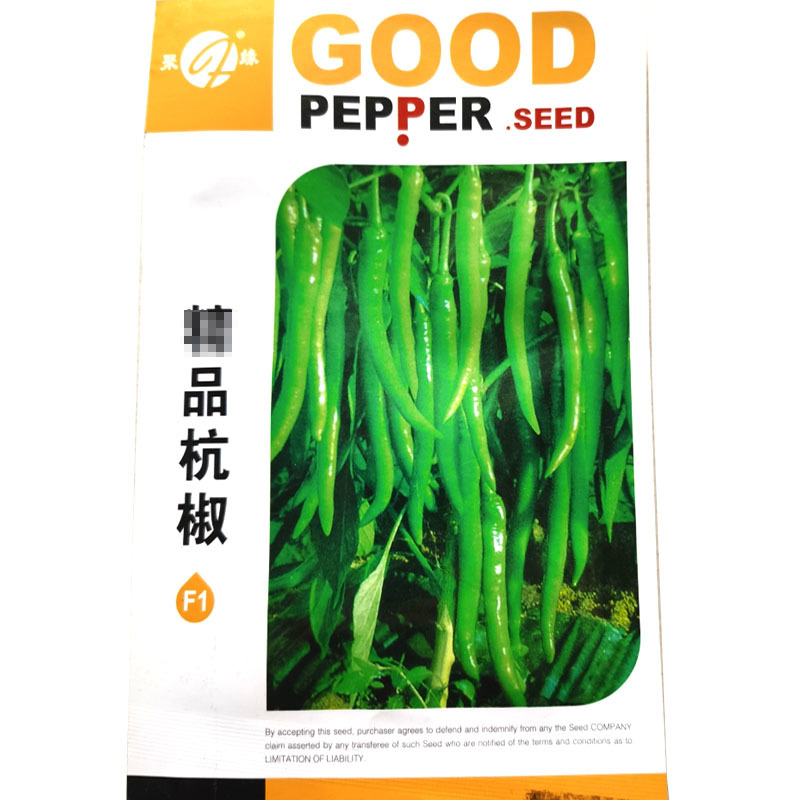 杭椒种子早熟精选皮薄耐低温香辣坐果强基地种植