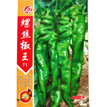 螺丝椒王种子早熟辣味浓挂果多耐高温螺旋皮皱褶基地