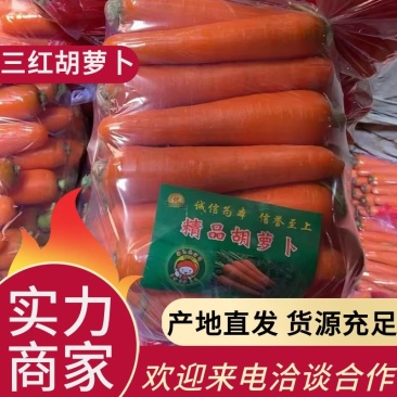 河南胡萝卜水洗加工袋装品质保障实力供货欢迎咨询合作