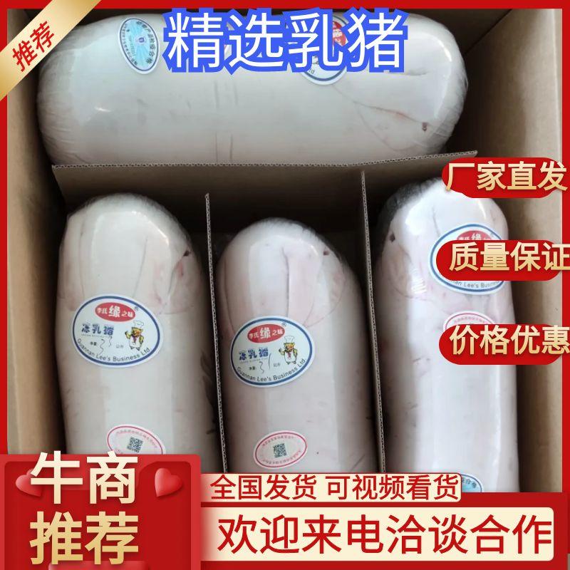 【精品】茶猪中猪鲜冻乳猪生鲜乳猪碳烤乳猪广式25-50斤