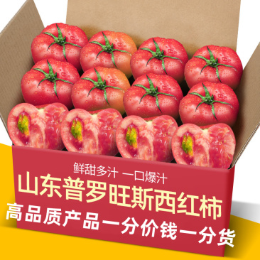 海阳10年供应链日发万单普罗旺斯西红柿
