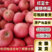 红富士苹果山东苹果精品苹果价格实惠全国发货批发电商