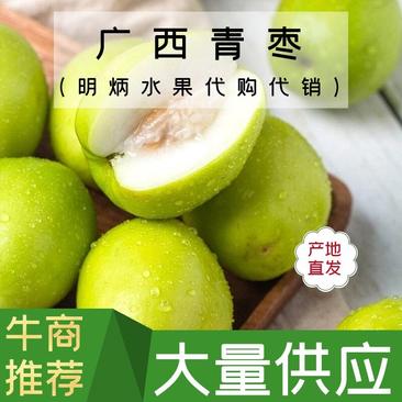 广西青枣牛奶枣供应全国大量上市诚信代发欢迎采购
