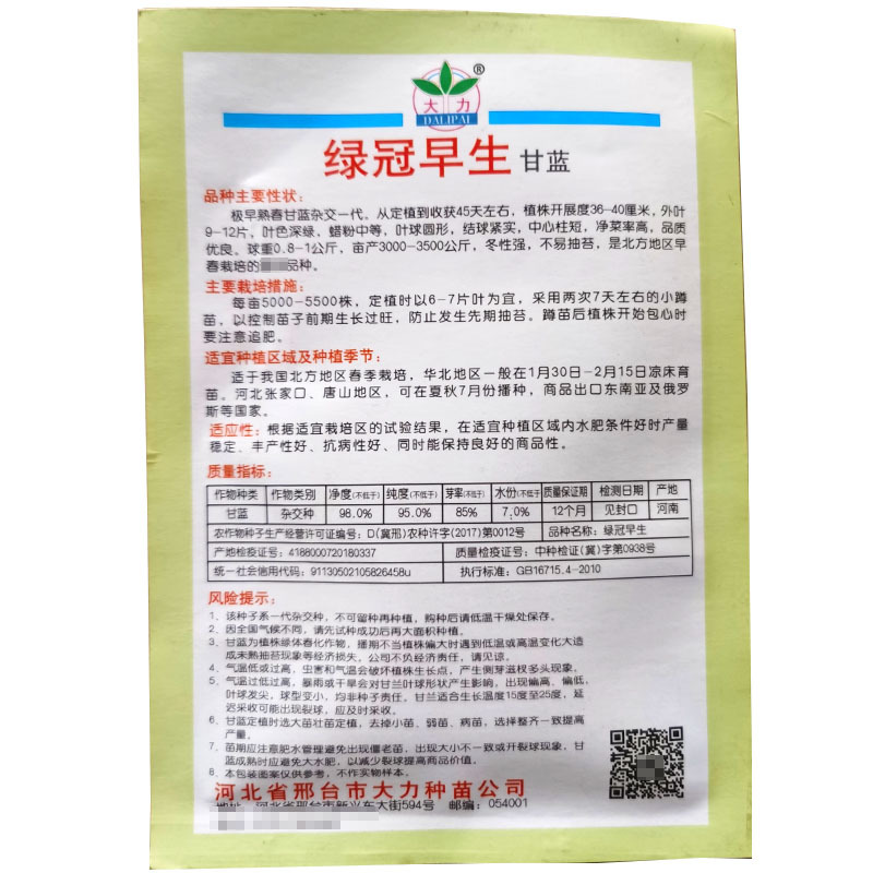 早熟春甘蓝种子卷心菜杂交抗病大田基地高产蔬菜种子