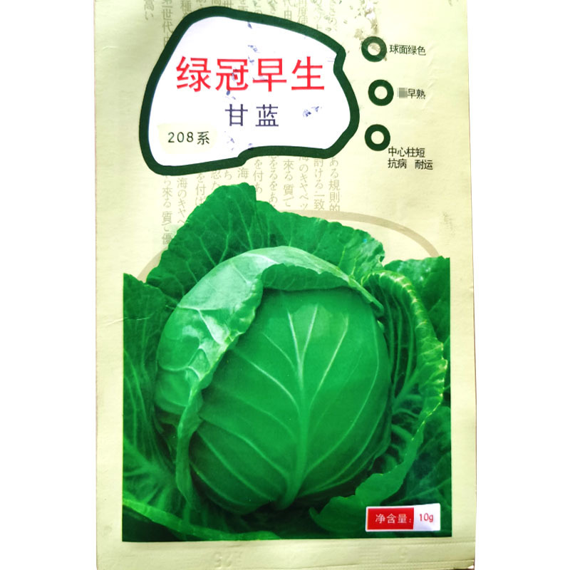 早熟春甘蓝种子卷心菜杂交抗病大田基地高产蔬菜种子