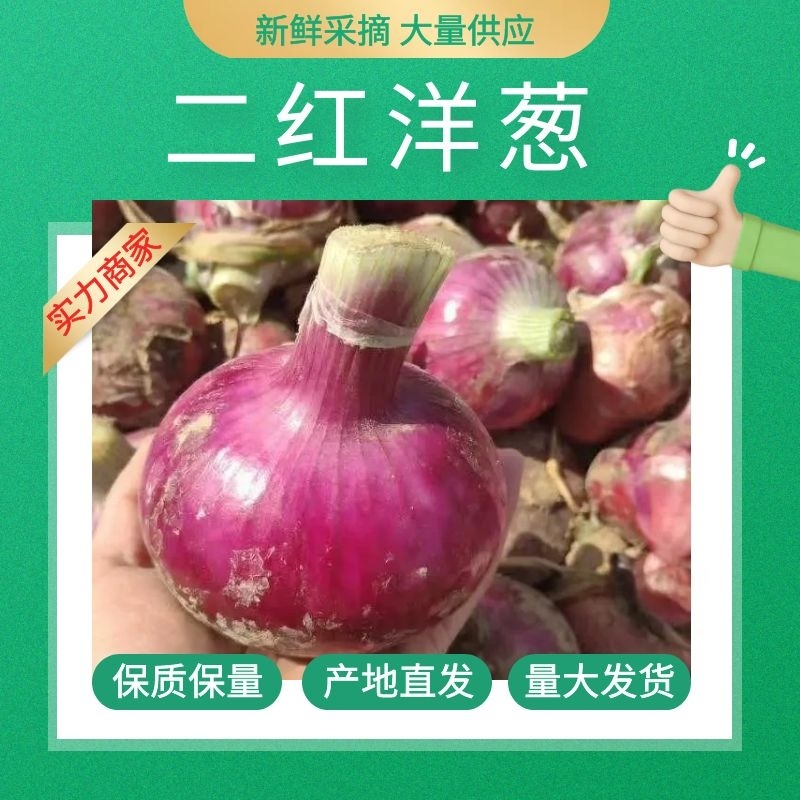 【产地直供】精品二红洋葱，大量有货，品质保证量大从优