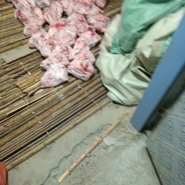 【精品】扒皮羊头质量保证价格实惠一条龙服务