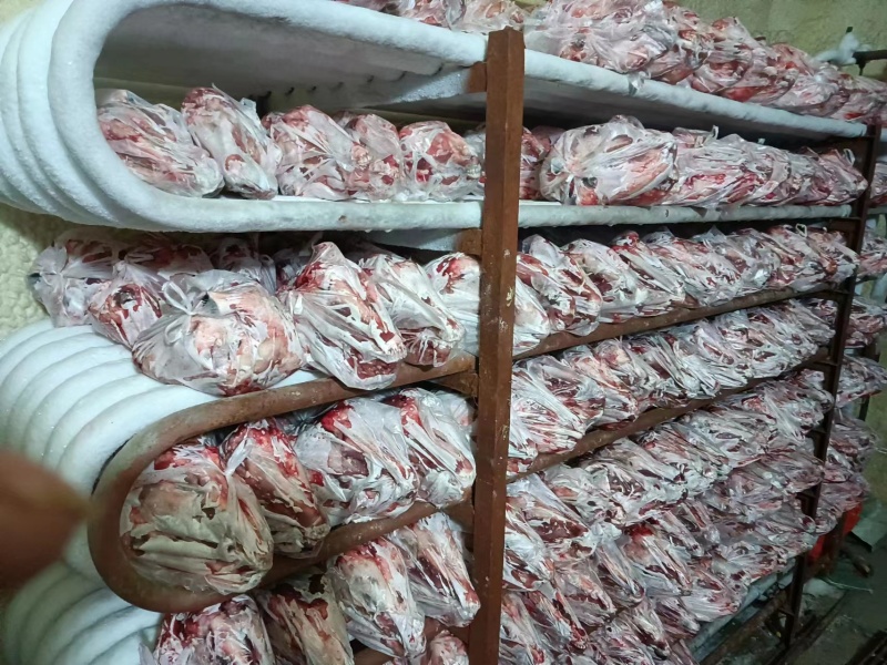 【精品】扒皮羊头质量保证价格实惠一条龙服务