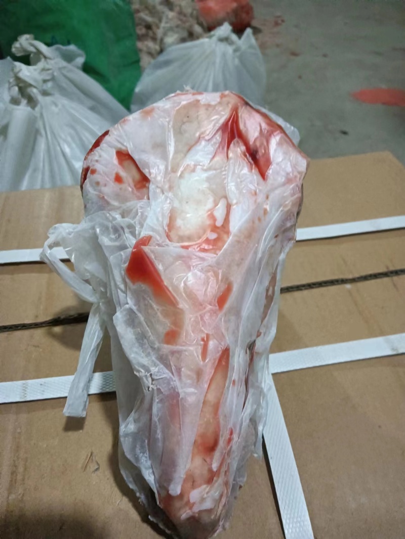 【精品】扒皮羊头质量保证价格实惠一条龙服务