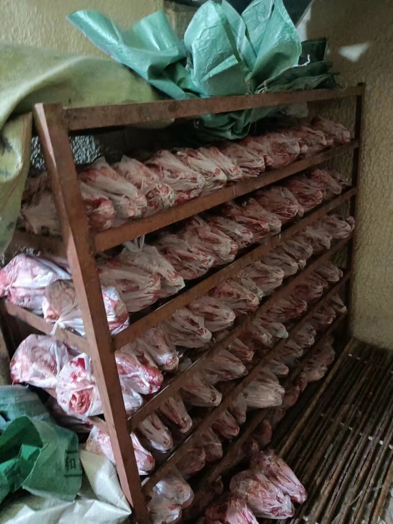 【精品】扒皮羊头质量保证价格实惠一条龙服务