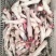 【菏泽】水退黑花羊蹄质量保证价格实惠全国发货