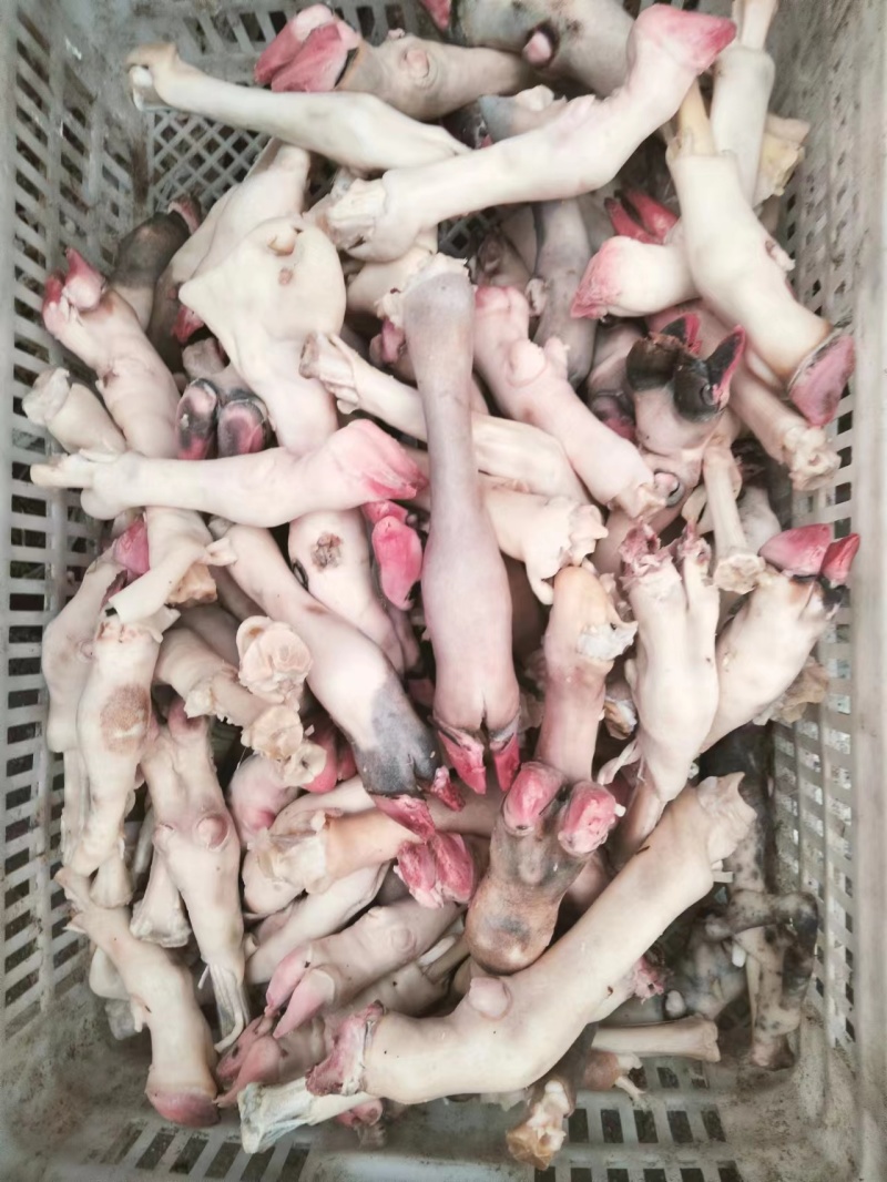 【菏泽】水退黑花羊蹄质量保证价格实惠全国发货