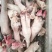 【菏泽】水退黑花羊蹄质量保证价格实惠全国发货