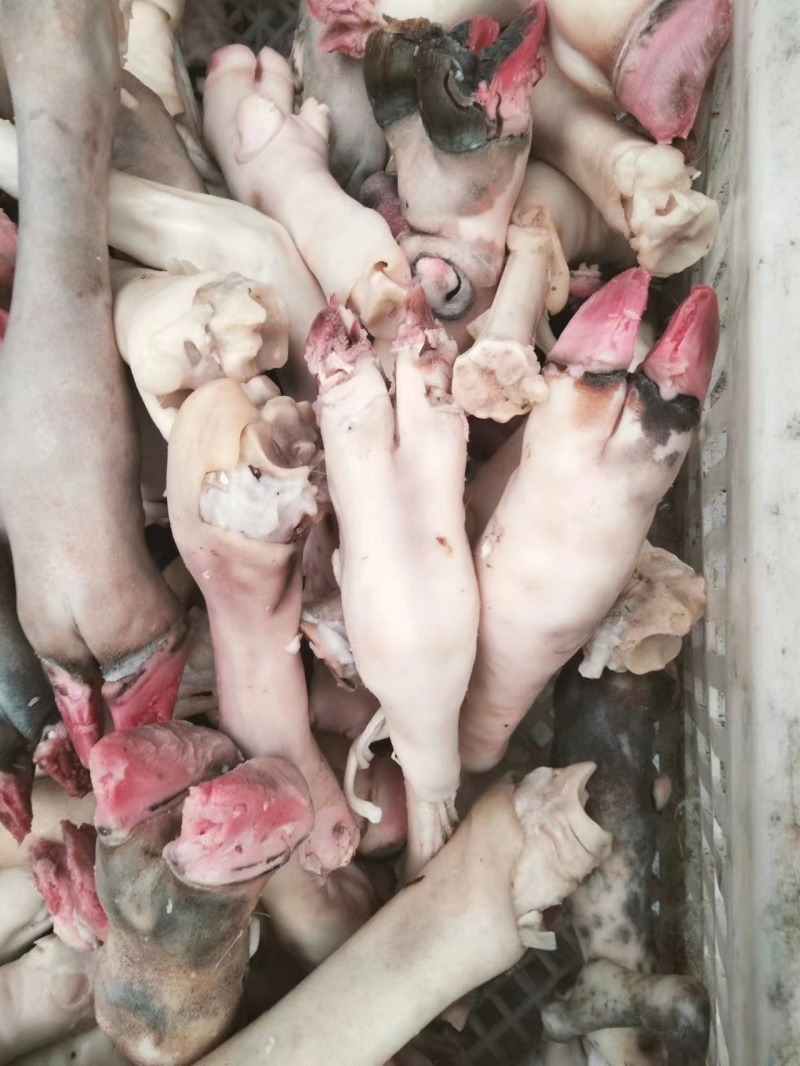 【菏泽】水退黑花羊蹄质量保证价格实惠全国发货