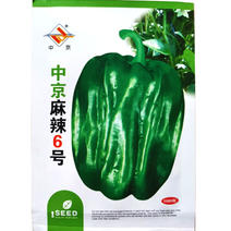 中京麻辣6号甜椒种子植株紧凑果皮褶皱皮薄味麻辣