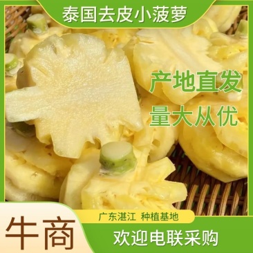 去皮泰国小菠萝，量大从优一手货源，工厂直发电联