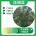 连翘苗各种规格齐全，支持线上交易，快递发货，价格低
