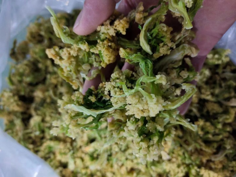 脱水有机花菜干花菜品质保证诚信经营一手货源欢迎采购