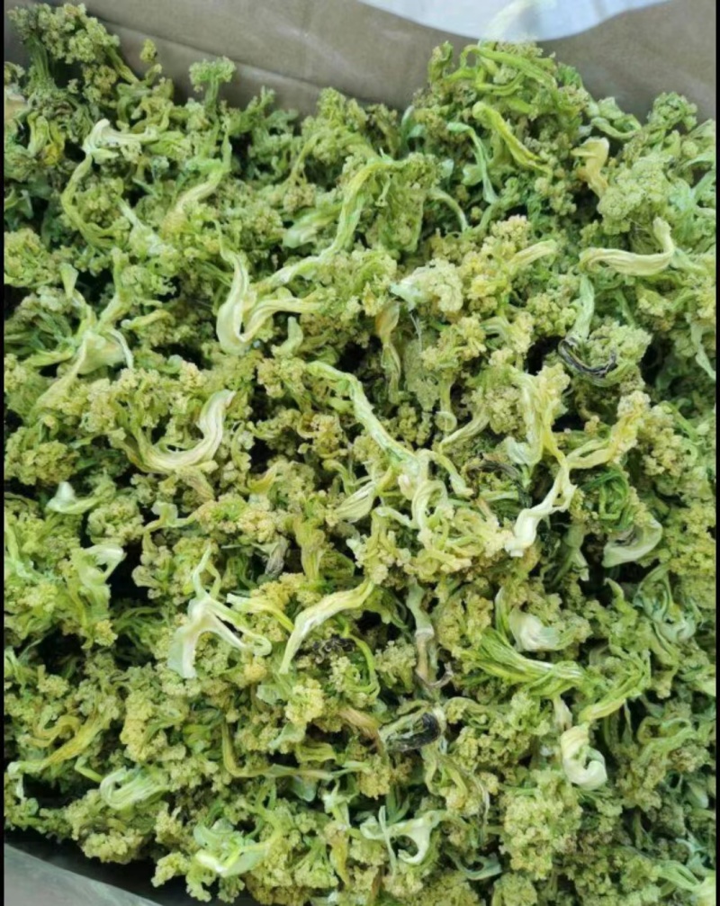 脱水有机花菜干花菜品质保证诚信经营一手货源欢迎采购